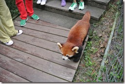 Weltreise 2013 - China 018