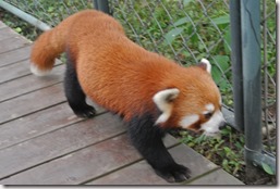 Weltreise 2013 - China 019