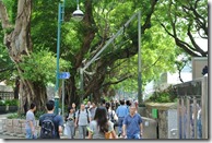 Weltreise 2013 - China 020