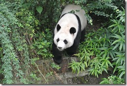 Weltreise 2013 - China 021