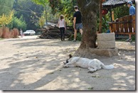 Weltreise 2013 - China 026