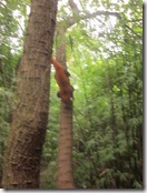 Weltreise 2013 - China 044