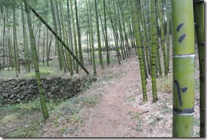 Weltreise 2013 - China 015