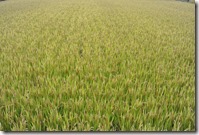 Weltreise 2013 - China 027