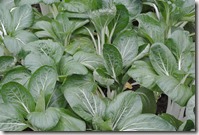 Weltreise 2013 - China 029