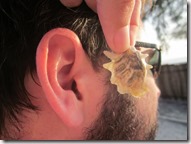 Weltreise 2013 - Kambodscha 014