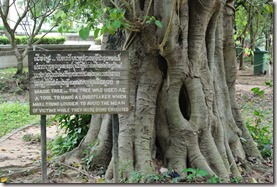 Weltreise 2013 - Kambodscha 025