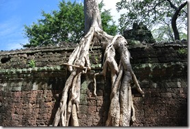 Weltreise 2013 - Kambodscha 052