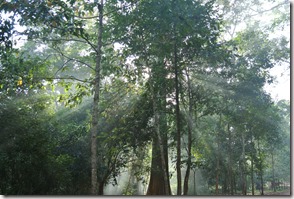 Weltreise 2013 - Kambodscha 103