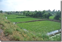 Weltreise 2013 - Myanmar 026