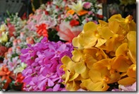 Weltreise 2013 - Thailand 017