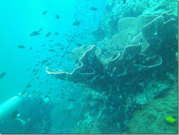 Weltreise 2013 - Thailand 033