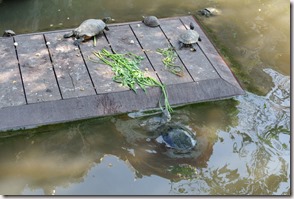 Weltreise 2013 - Thailand 066