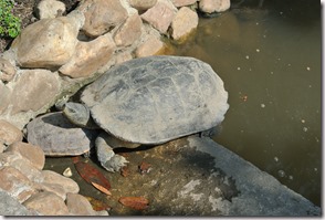 Weltreise 2013 - Thailand 067