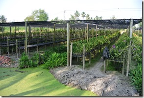 Weltreise 2013 - Thailand 118