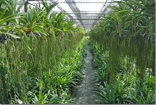 Weltreise 2013 - Thailand 121