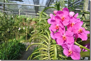 Weltreise 2013 - Thailand 122