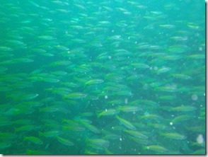 Weltreise 2013 - Thailand 123