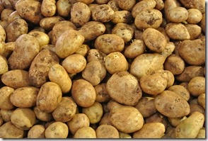 Weltreise 2013 - Australien 008