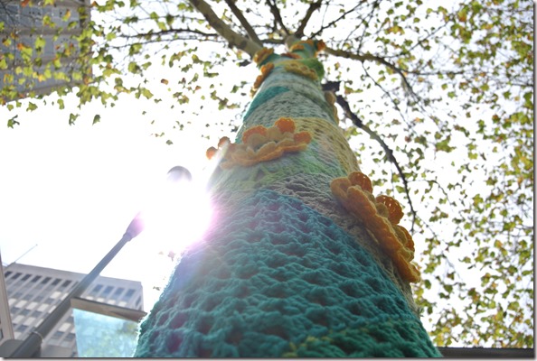 Weltreise 2013 - Australien 036