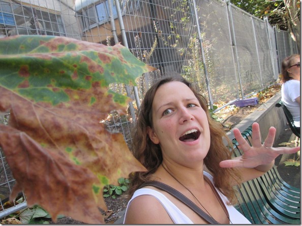 Weltreise 2013 - Australien 049