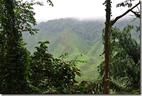 Weltreise 2013 - Malaysia 006