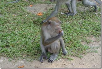 Weltreise 2013 - Malaysia 010