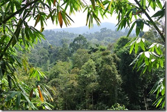 Weltreise 2013 - Malaysia 017