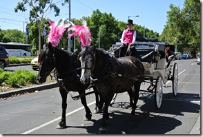 Weltreise 2013 - Malaysia 024