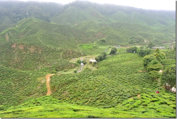 Weltreise 2013 - Malaysia 036