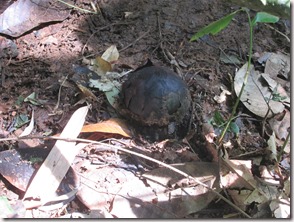 Weltreise 2013 - Malaysia 039