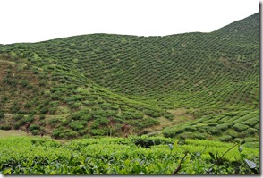 Weltreise 2013 - Malaysia 058