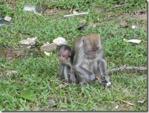 Weltreise 2013 - Malaysia 130