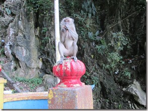 Weltreise 2013 - Malaysia 144