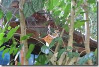 Weltreise 2013 - Thailand 001