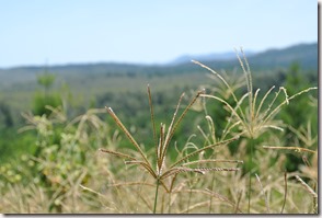 Weltreise 2013 - Australien 003