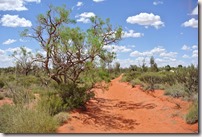 Weltreise 2013 - Australien 015