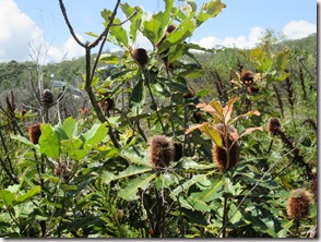 Weltreise 2013 - Australien 017