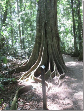 Weltreise 2013 - Australien 020