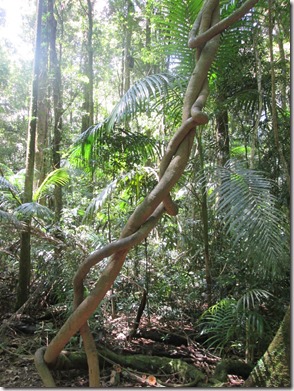 Weltreise 2013 - Australien 021