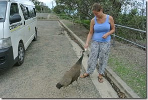 Weltreise 2013 - Australien 024