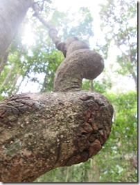 Weltreise 2013 - Australien 027