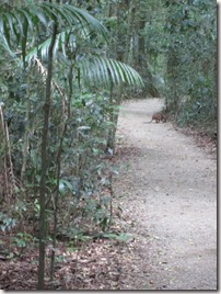 Weltreise 2013 - Australien 029