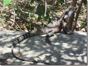 Weltreise 2013 - Australien 036