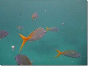 Weltreise 2013 - Australien 048