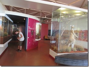 Weltreise 2013 - Australien 071