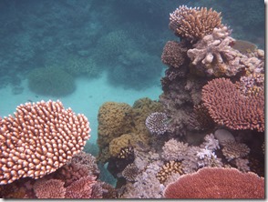 Weltreise 2013 - Australien 094