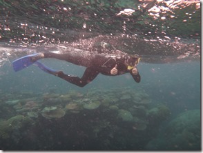 Weltreise 2013 - Australien 156