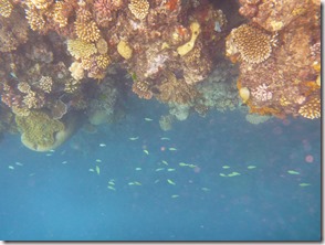 Weltreise 2013 - Australien 167