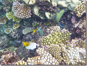 Weltreise 2013 - Australien 169